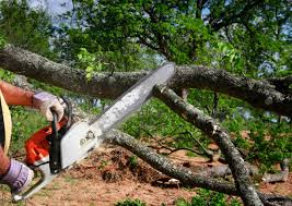 Best Pest Control for Lawns  in Sturtevant, WI