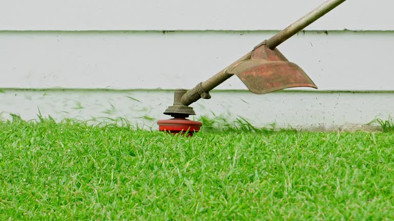 Trusted Sturtevant, WI Tree Services Experts