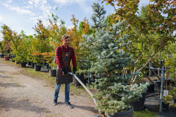 Best Fruit Tree Pruning  in Sturtevant, WI